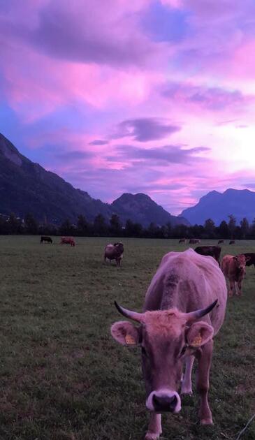 Wunderschöne Abendstimmung