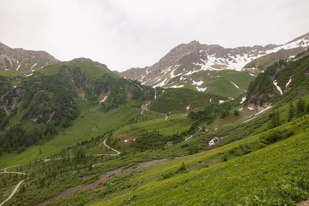 Wanderung: Steg - Alpeti - Pfälzerhütte - Malbun
