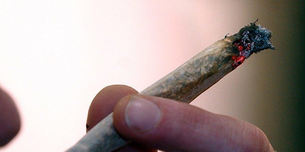 Der Bundesrat will Cannabis-Pilotversuche in Zukunft erlauben. In der Vernehmlassung kommen seine Pläne gut an. Eine breite Allianz aus Parteien und Suchtverbänden erhofft sich davon Erkenntnisse für den künftigen Umgang mit Cannabis. Dagegen ist die SVP. (Symbolbild) Der Bundesrat will Cannabis-Pilotversuche in Zukunft erlauben. In der Vernehmlassung kommen seine Pläne gut an. Eine breite Allianz aus Parteien und Suchtverbänden erhofft sich davon Erkenntnisse für den künftigen Umgang mit Cannabis. Dagegen ist die SVP. (Symbolbild)