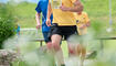 Wings for Life World Run (10.05.2026)