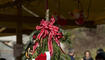 Weihnachtsmarkt in Sevelen