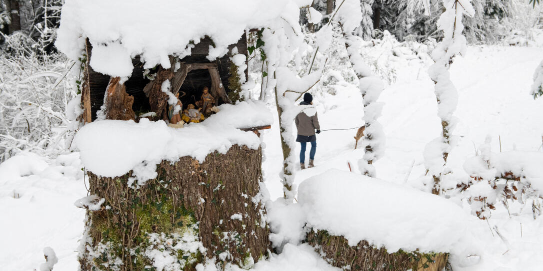 231204 Schaanwald: Erstmals ein Krippenweg im Wald. Eine Reportage