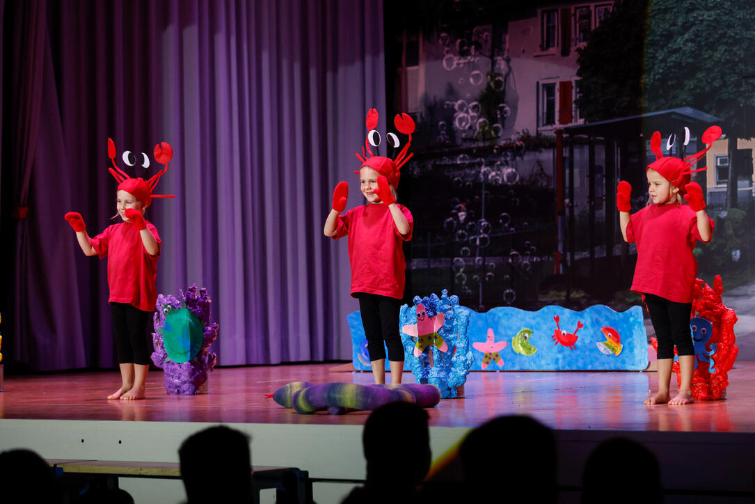 Turnunterhaltung STV Oberriet-Eichenwies, St. Gallen, Schweiz