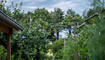 Gartenfest in Triesen (06.07.2024)