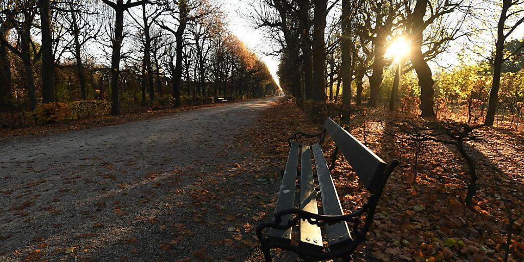 Die Sonne scheint durch die Bäume im Schönbrunner Schlosspark. Österreich ist wegen der zuletzt explodierenden Corona-Infektionszahlen bis zum 6. Dezember erneut in einen Lockdown gegangen. Foto: Helmut Fohringer/APA/dpa Die Sonne scheint durch die Bäume im Schönbrunner Schlosspark. Österreich ist wegen der zuletzt explodierenden Corona-Infektionszahlen bis zum 6. Dezember erneut in einen Lockdown gegangen. Foto: Helmut Fohringer/APA/dpa
