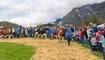 Melser Herbstviehschau (11.10.2024)