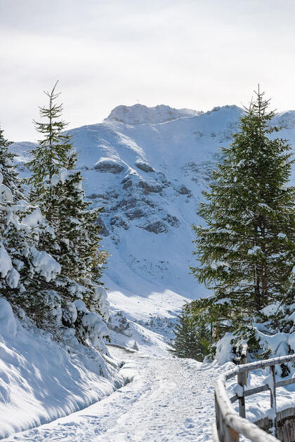 Erster Schnee in Liechtenstein