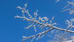 Schnee im Frühling