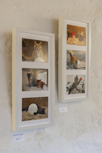 Ausstellung «Auf leisen Pfoten» in Werdenberg