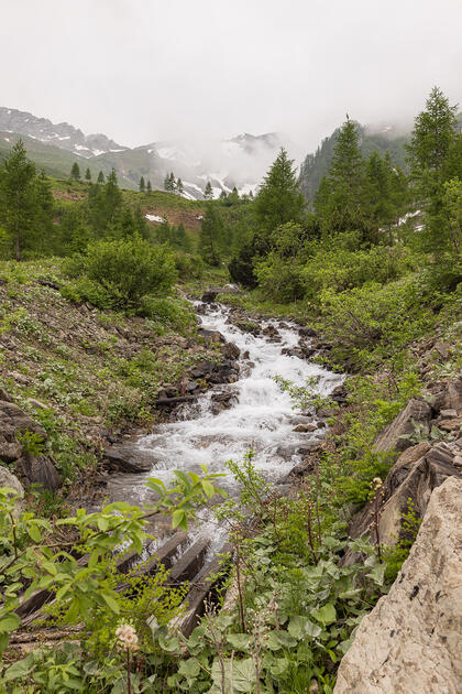 Wanderung: Steg - Alpeti - Pfälzerhütte - Malbun