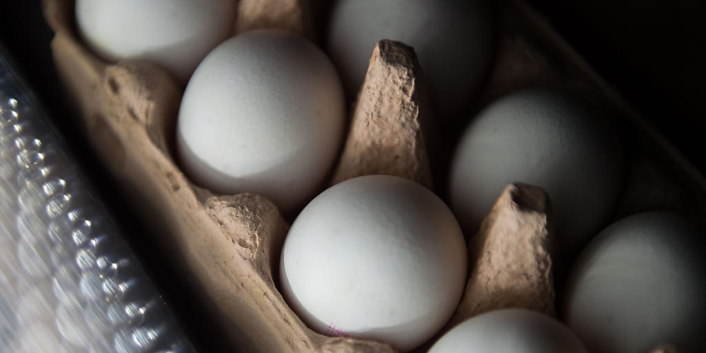 Auch Eier, die in die Schweiz importiert wurden und die der Handel anbietet, sind mit Rückständen des Insektizids Fipronil belastet. (Symbolbild)