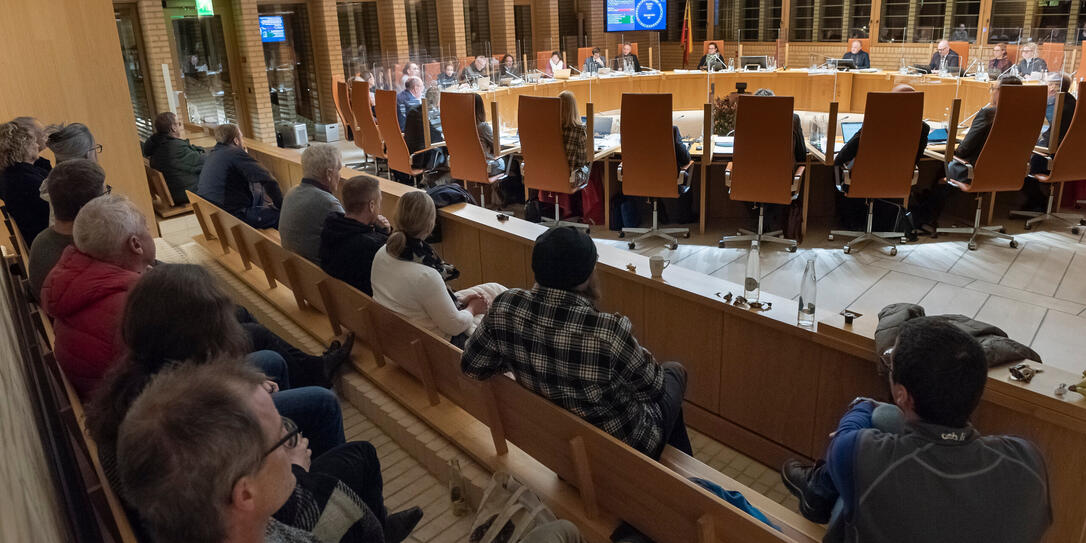 20221201 Landtag Abastimmung Hochspannungsleitungen Balzers - Brühl_ Nils Vollmar