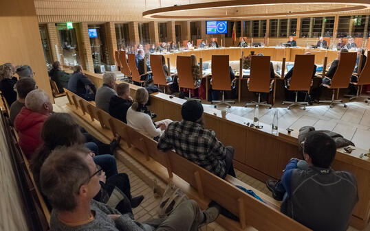 20221201 Landtag Abastimmung Hochspannungsleitungen Balzers - Brühl_ Nils Vollmar