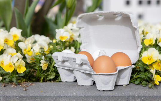 Verkauf Karfreitags-Eier, Eschen