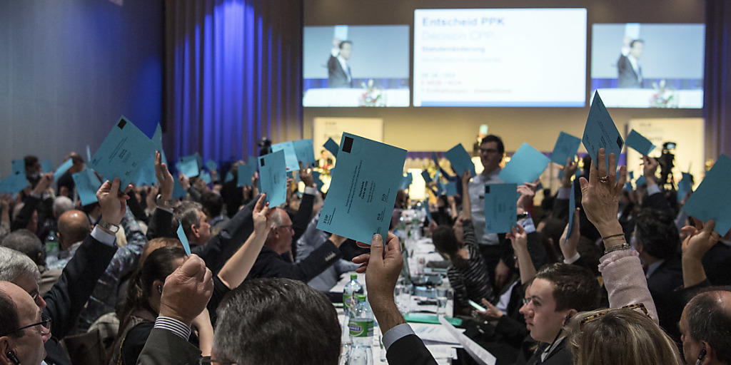 Die FDP-Delegierten haben sich am Samstag knapp für die Energiestrategie 2050 ausgesprochen.