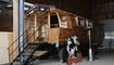 SPOT: Tage der offenen Stalltore, Triesen