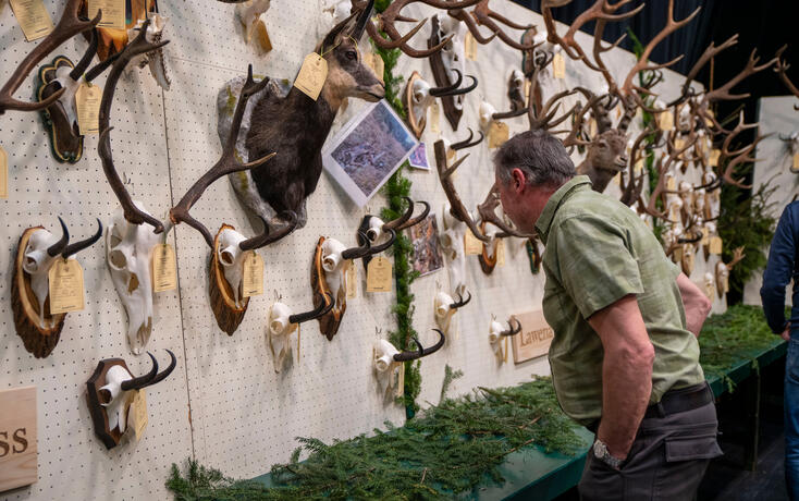 Hegeschau, in Schaan