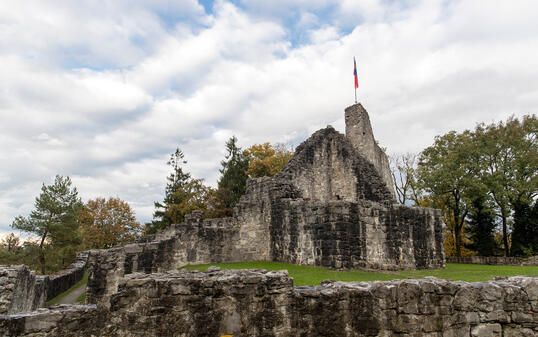 Burgruine Schellenberg