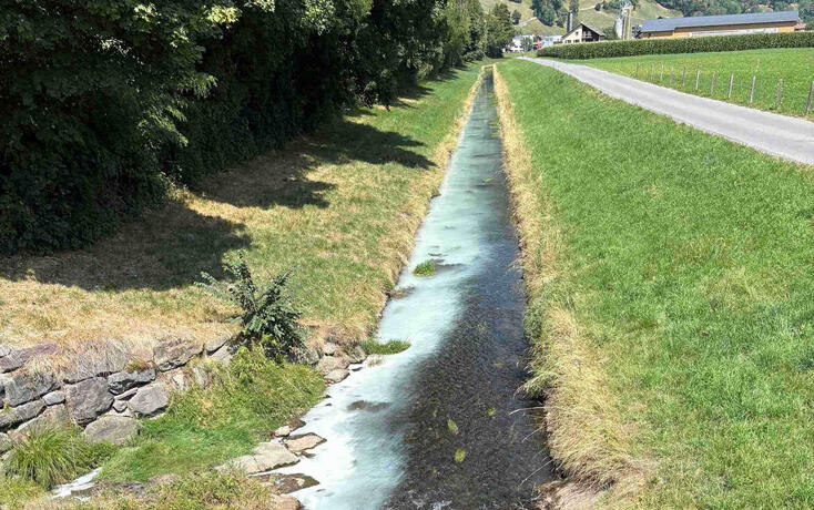Sargans: Malerfarbe in Kanal gelangt