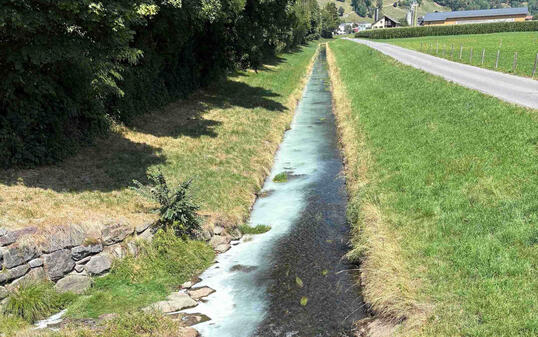 Sargans: Malerfarbe in Kanal gelangt