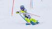 Liechtensteinische Alpine Skimeisterschaft NC Slalom Damen