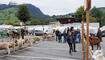 Werdenberger Buuremart mit Gitzischau in Grabs