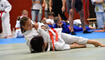 Landesmeisterschaft Judo