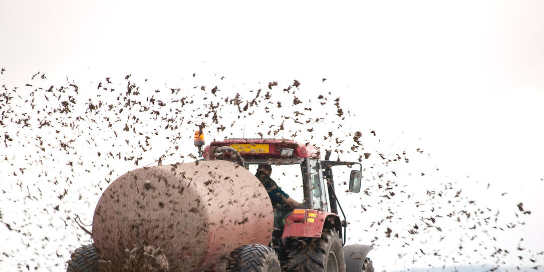 Muck Spreading