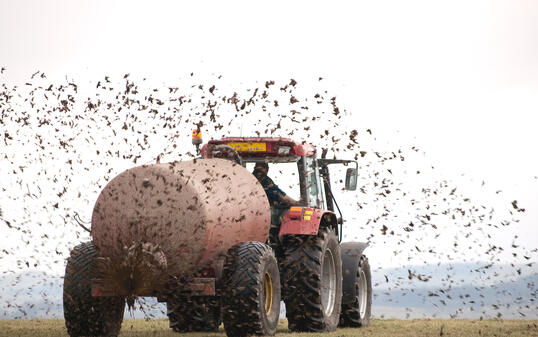 Muck Spreading