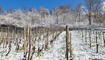 Schnee im Frühling