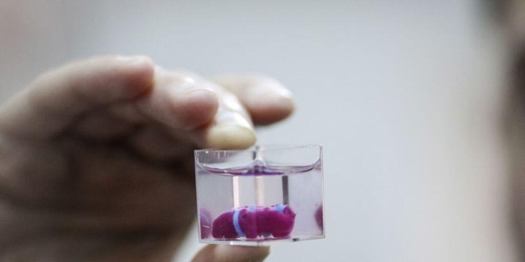Ein Herzchen aus menschlichem Gewebe, mit Kammern und Blutgefässen, haben israelische Forscher mit einem 3D-Drucker geschaffen. Sie hoffen, in zehn Jahren das erste ausgewachsene Exemplar einem Menschen zu implantieren.