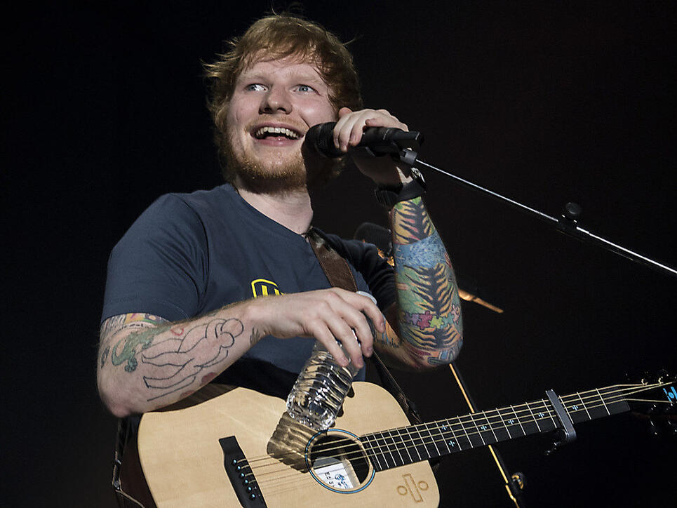 104 Bäume müssen nicht für ein Ed-Sheeran-Konzert gefällt werden - die Veranstaltung findet in Gelsenkirchen anstelle von Düsseldorf statt. (Archivbild)
