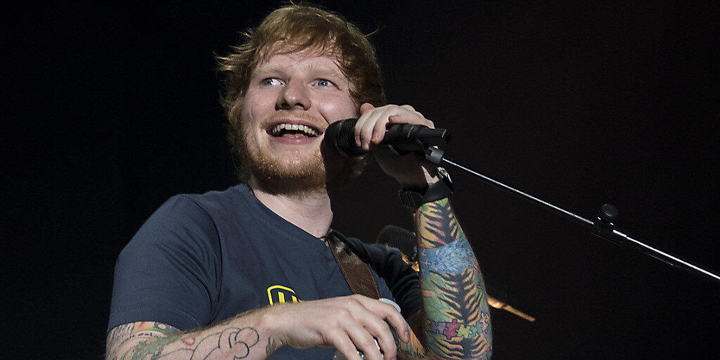 104 Bäume müssen nicht für ein Ed-Sheeran-Konzert gefällt werden - die Veranstaltung findet in Gelsenkirchen anstelle von Düsseldorf statt. (Archivbild)