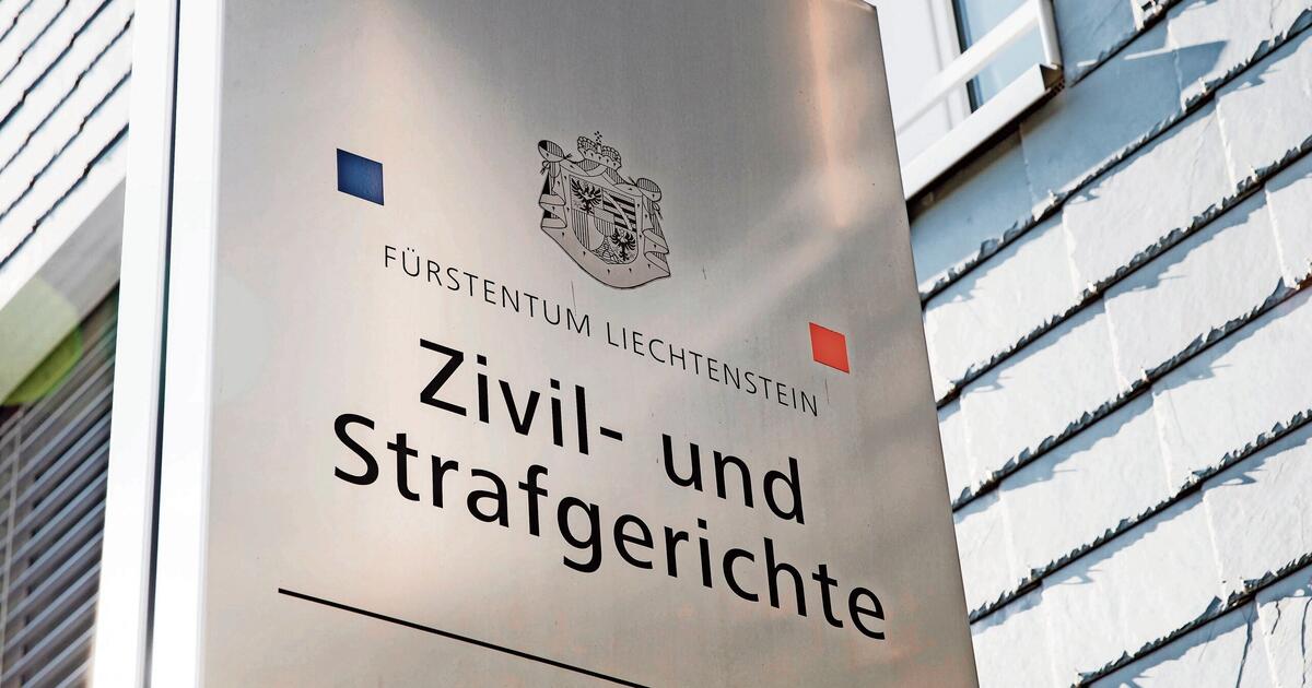 Medienwirbel im Fall HartlaubStiftung Vaterland online