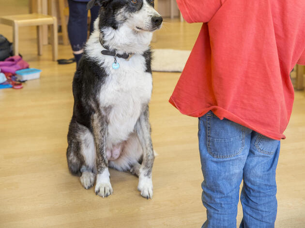 Daniela Schwendener mit Therapiehund HPZ Schaan 151106 Daniela Schwendener mit Therapiehund HPZ Schaan 151106