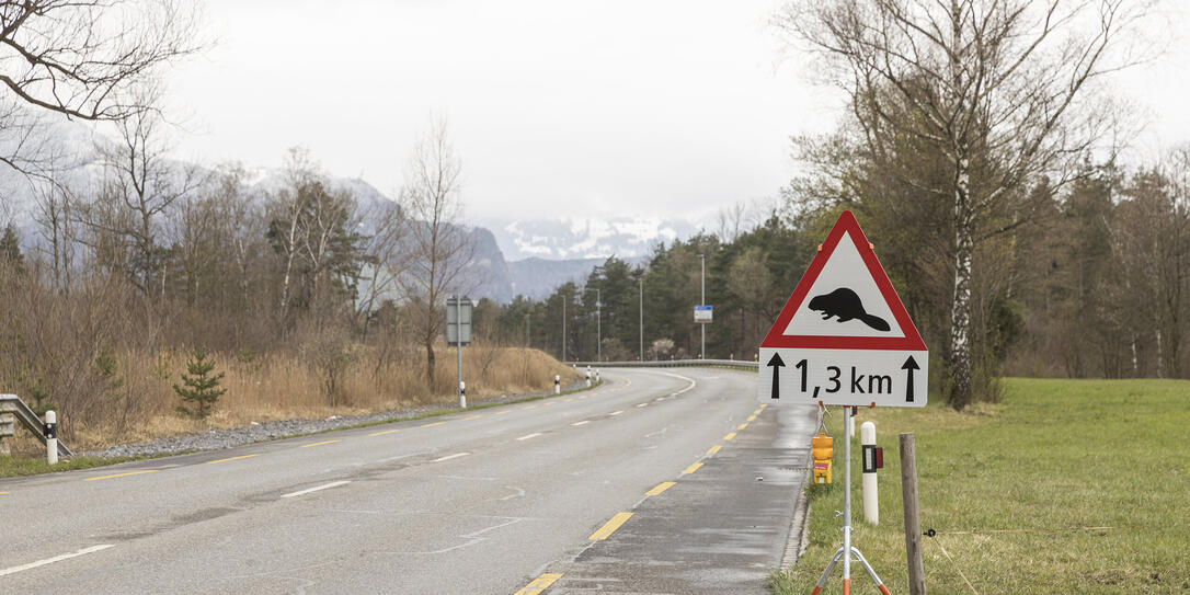 Verkehrsschild in Triesen