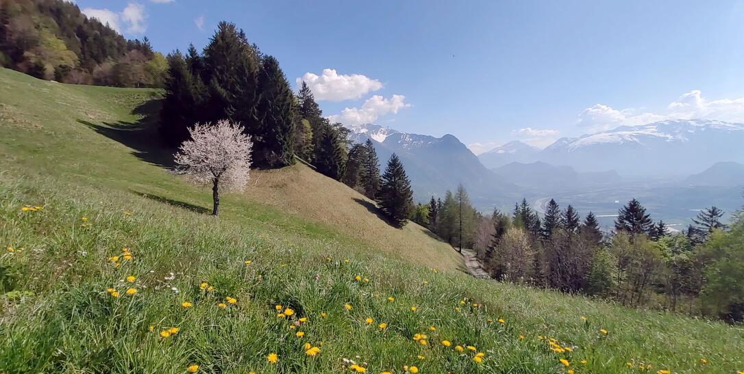 Schöne Plätze, Ecken und Orte in Triesenberg