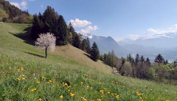 Schöne Plätze, Ecken und Orte in Triesenberg