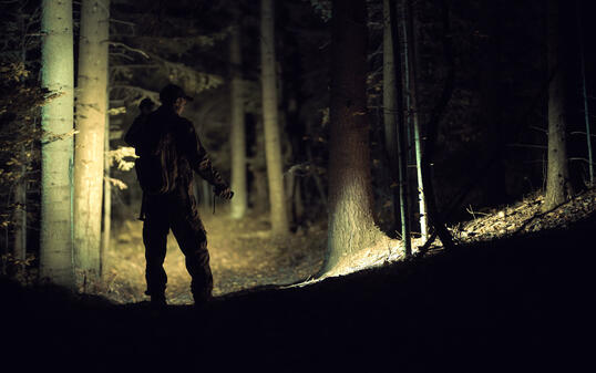 Search Crew with Powerful Flashlight