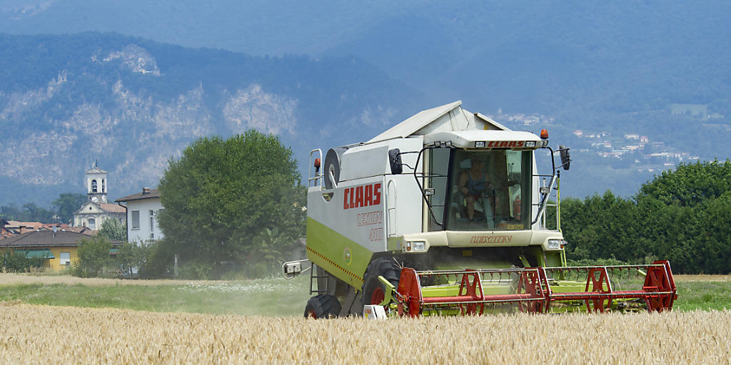 In der Schweiz gehen jedes Jahr rund 3400 Hektaren landwirtschaftliches Kulturland verloren (Archivbild)