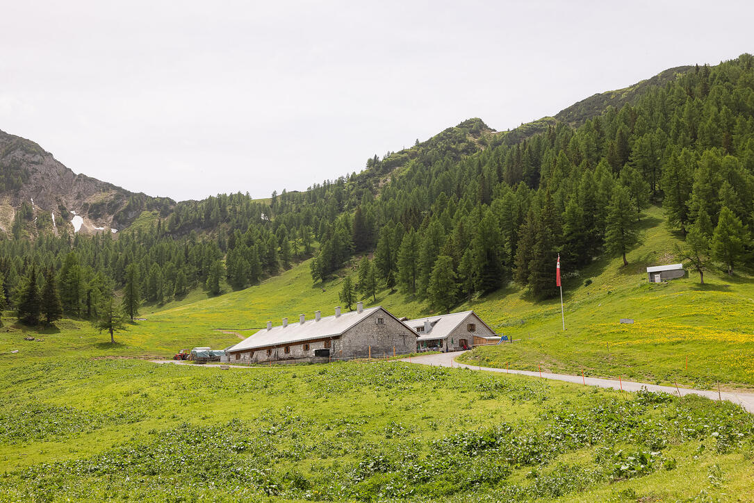 Wanderung: Steg - Alpeti - Pfälzerhütte - Malbun