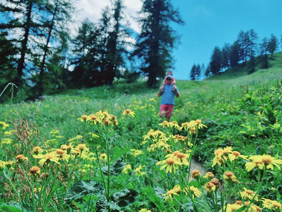 Earth laughs in flowers!