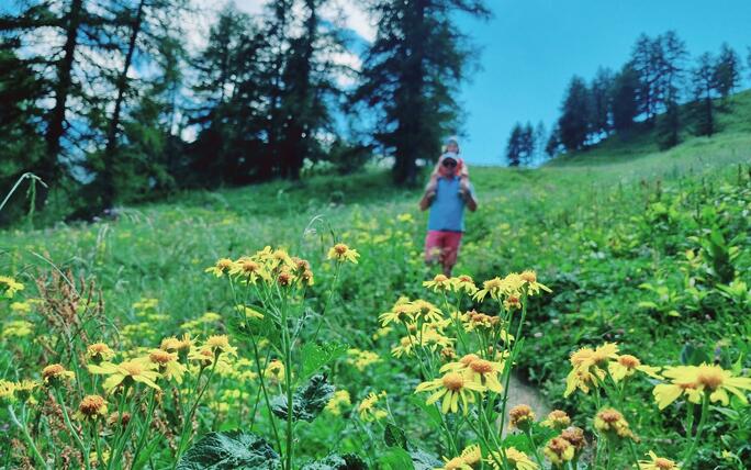 Earth laughs in flowers!