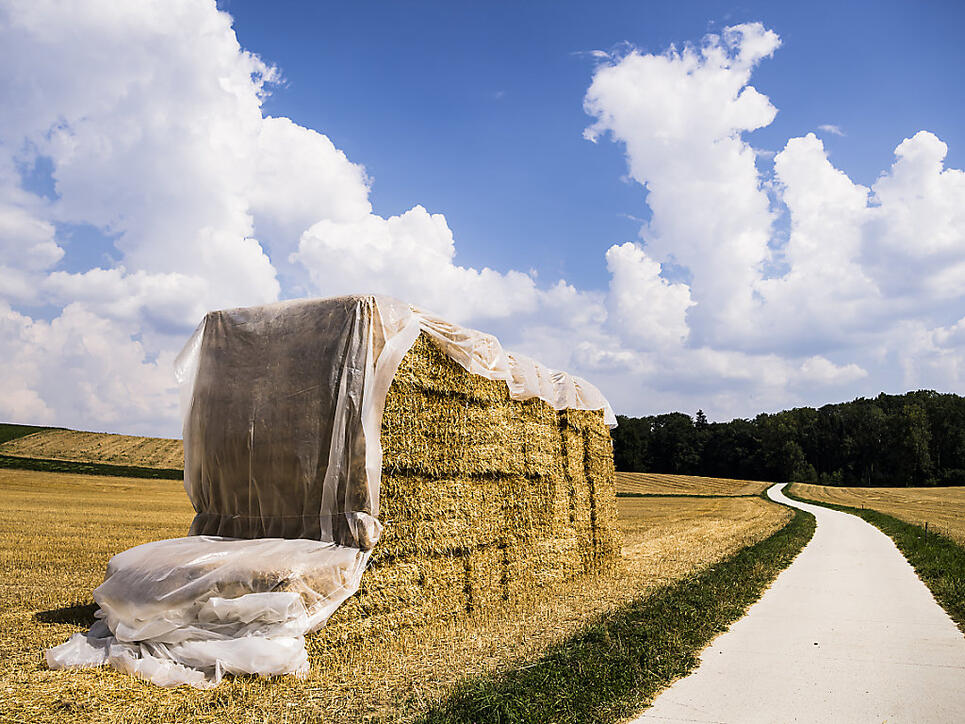 Ein Bauernkomitee bekämpft die Agrarinitiativen, über die am 23. September abgestimmt wird. Die Landwirte befürchten neue Vorschriften. (Archivbild)