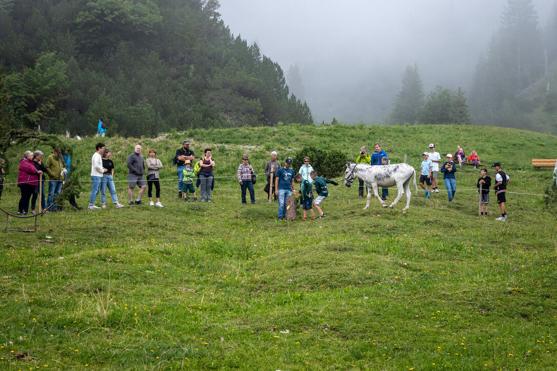 Eselfest in Malbun