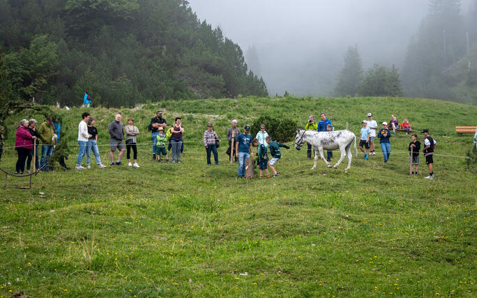 Eselfest in Malbun