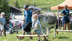 Eselfest in Malbun