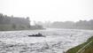 Plattform schwimmt im Rhein 140813