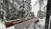 Die schönsten Ski- und Winterfotos 2018/19