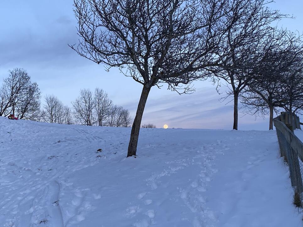 Fotowettbewerb: «Zemma» durch die «Winterruhe»